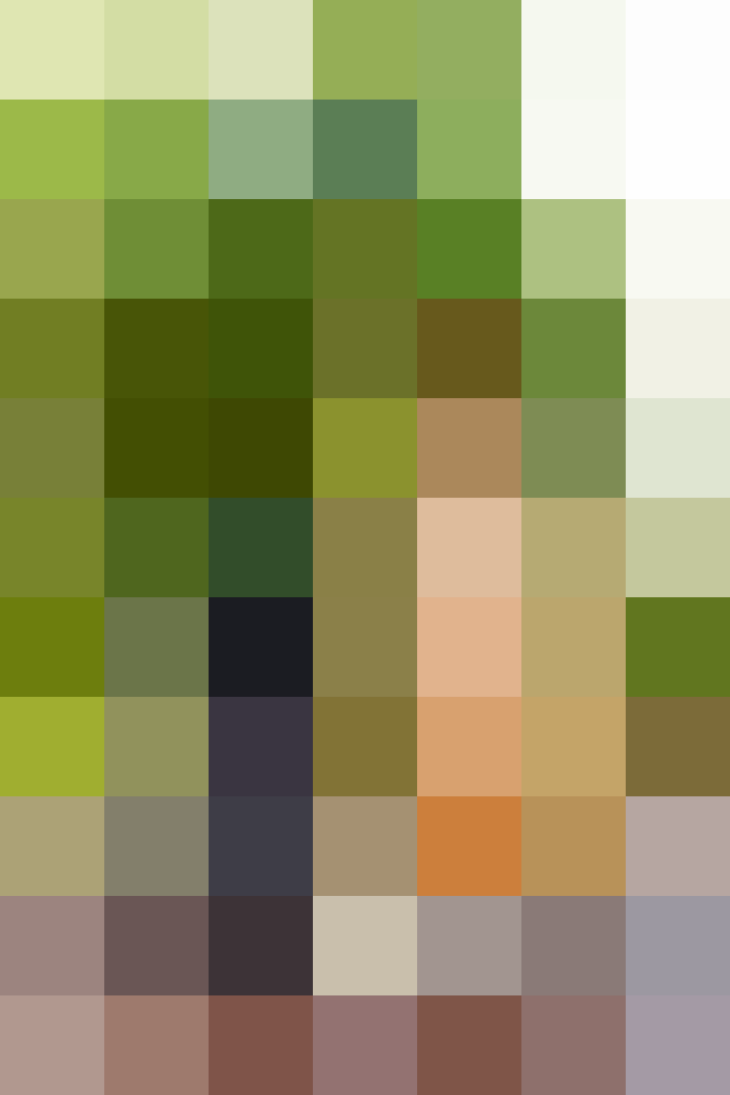 (placeholder)