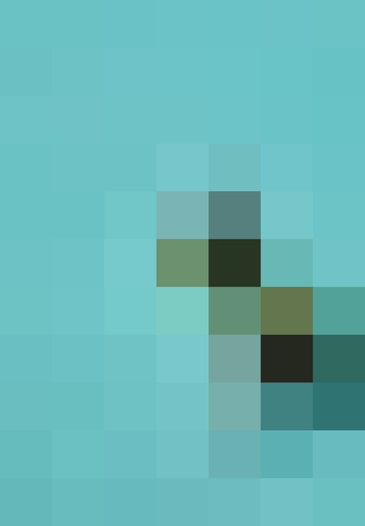 (placeholder)