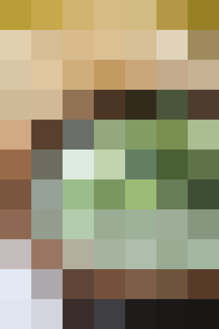 (placeholder)