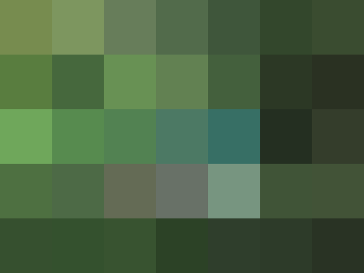 (placeholder)