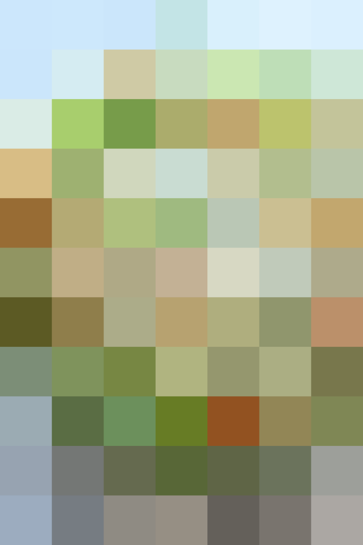 (placeholder)