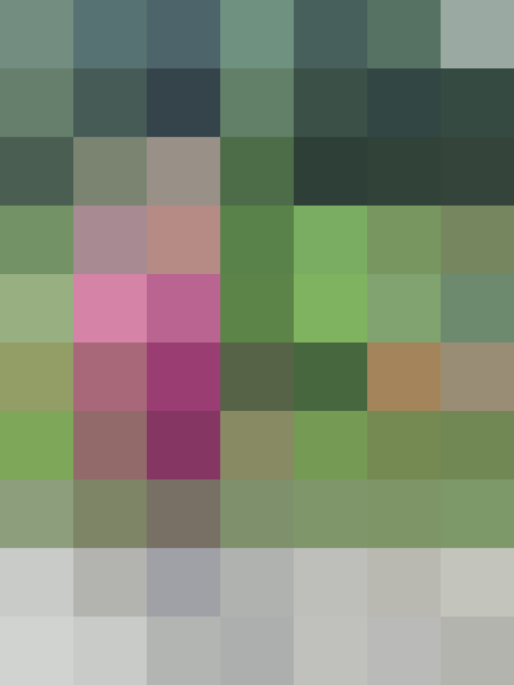 (placeholder)