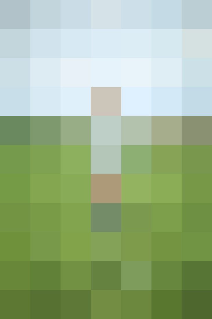 (placeholder)