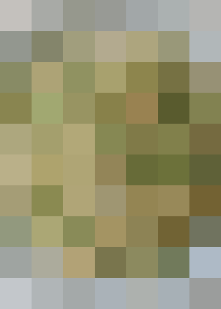 (placeholder)
