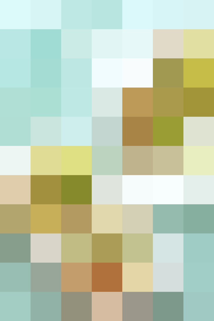 (placeholder)