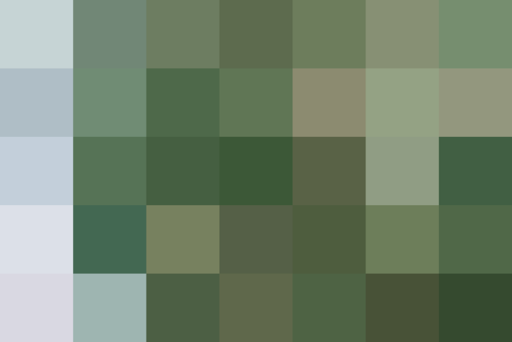 (placeholder)