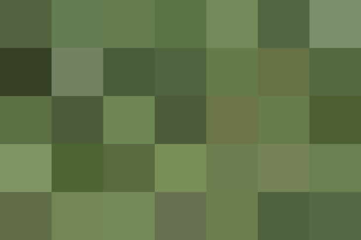 (placeholder)