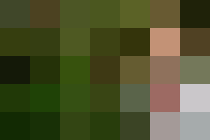 (placeholder)