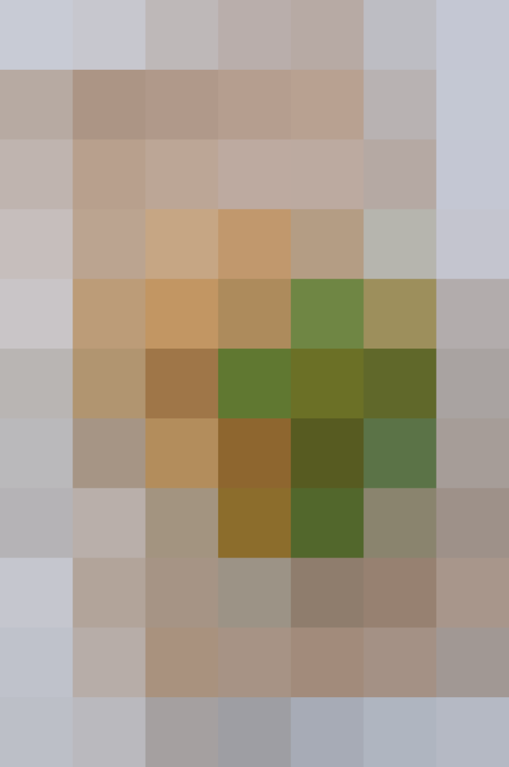 (placeholder)