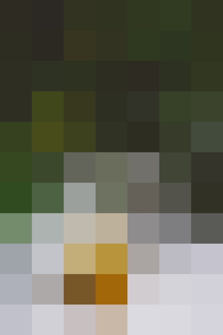 (placeholder)