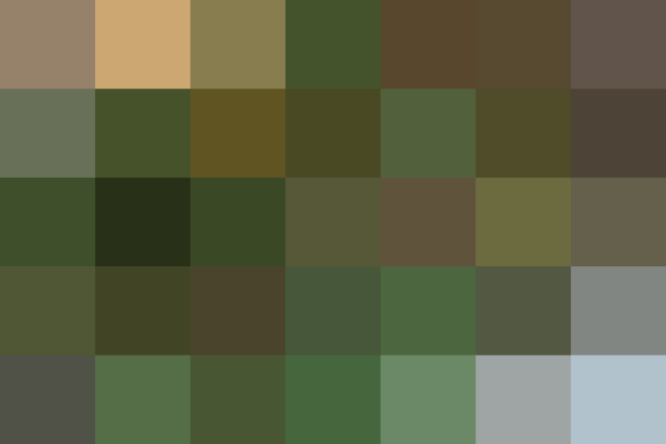 (placeholder)