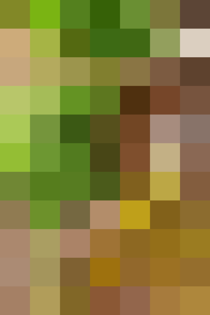 (placeholder)