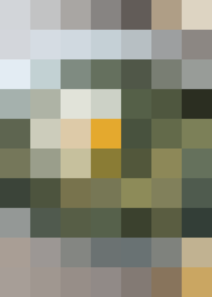 (placeholder)