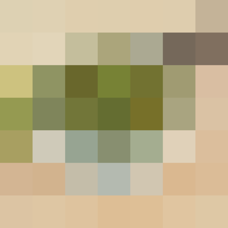 (placeholder)