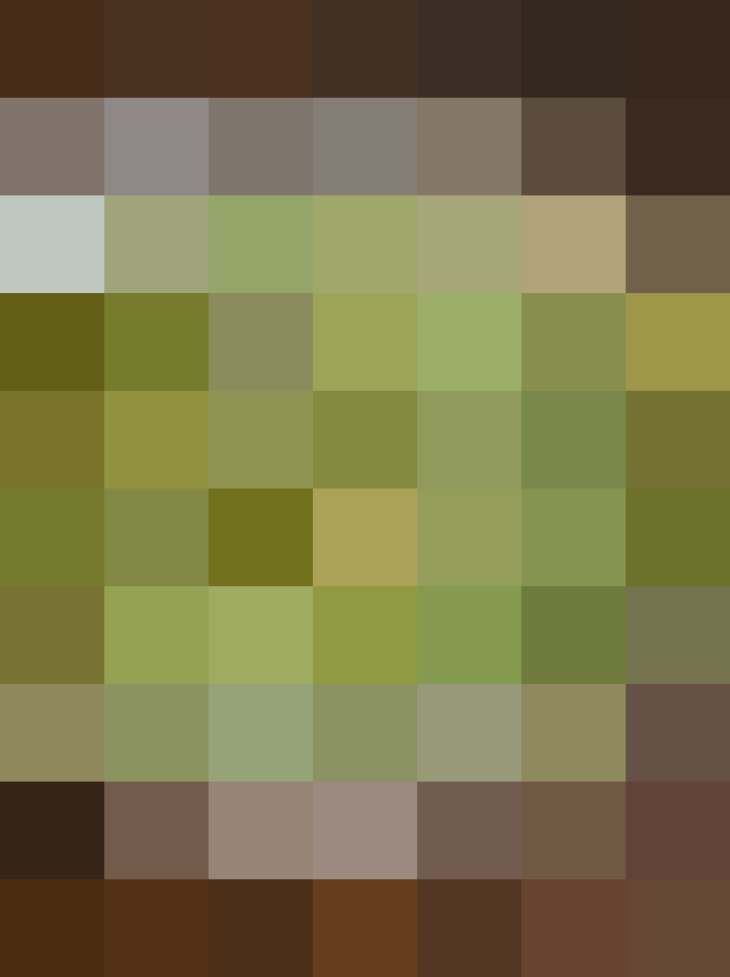 (placeholder)