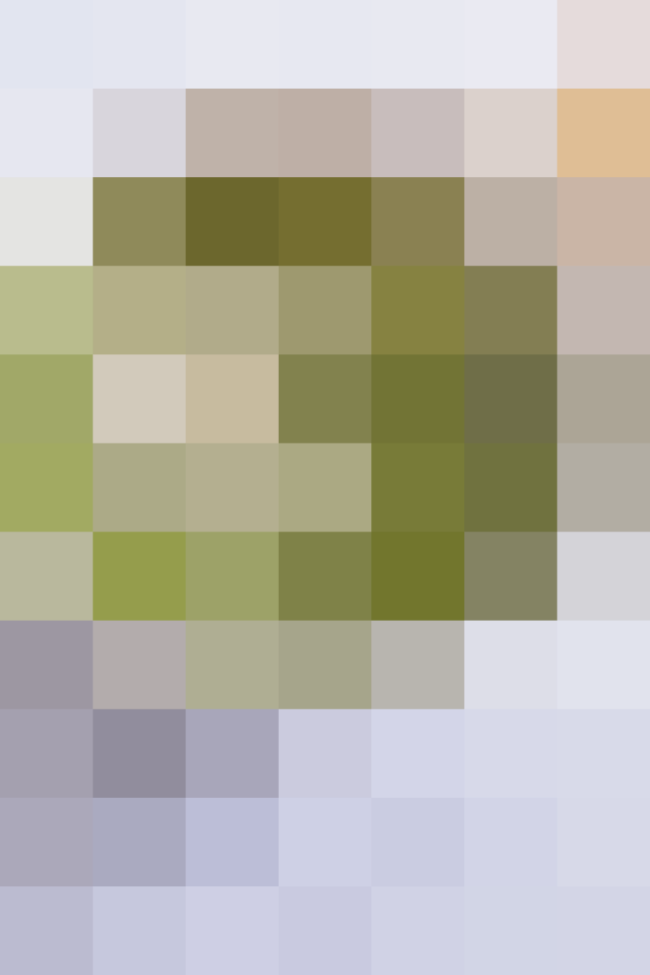 (placeholder)