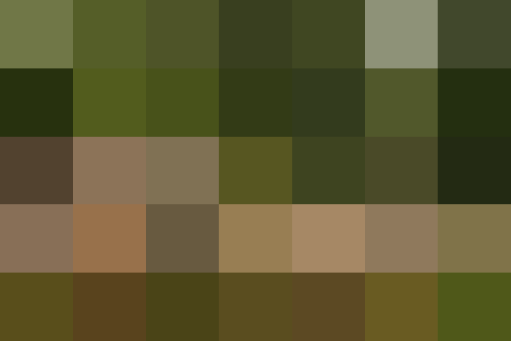 (placeholder)