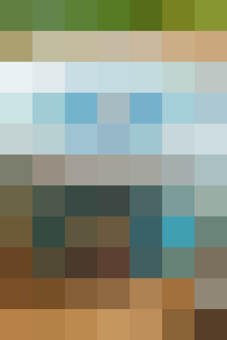 (placeholder)
