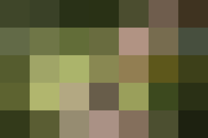 (placeholder)