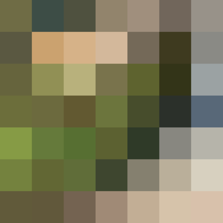(placeholder)