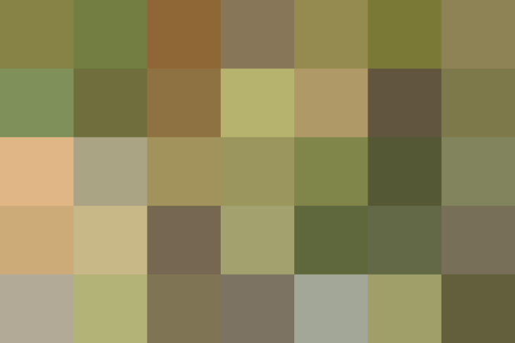 (placeholder)