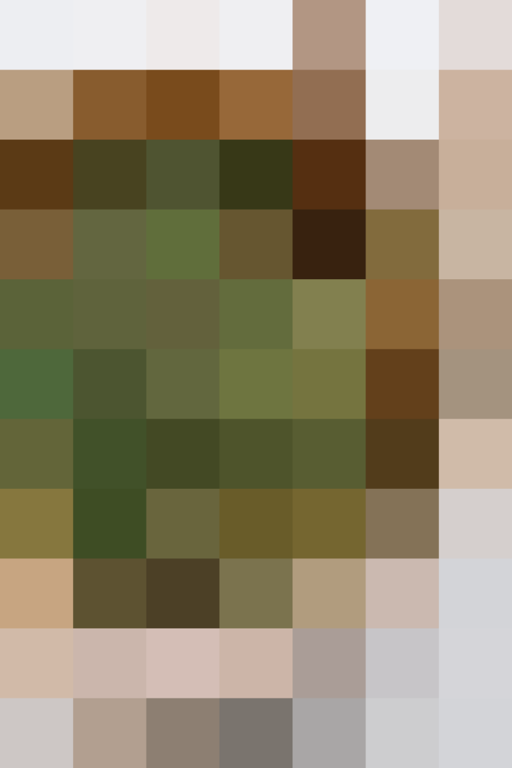 (placeholder)