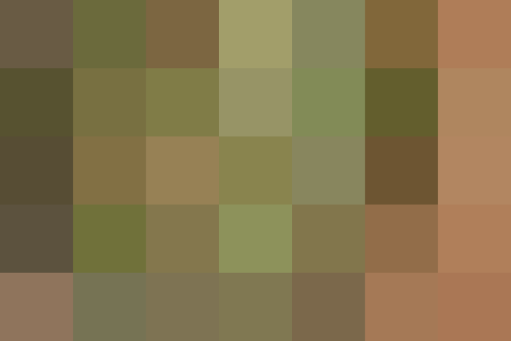 (placeholder)