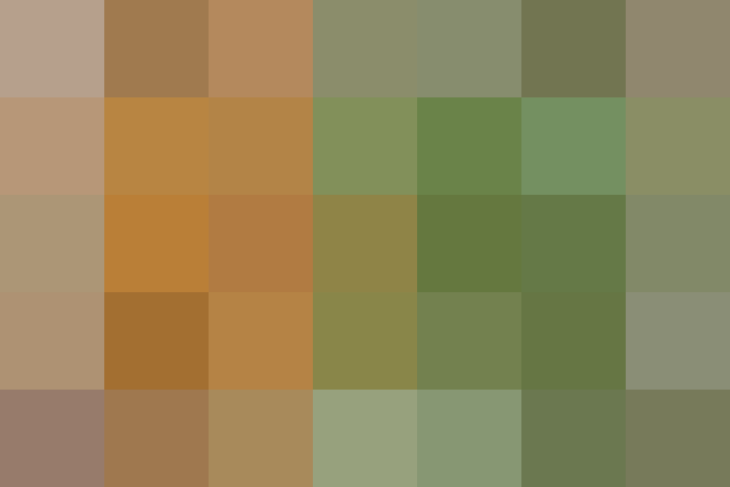 (placeholder)