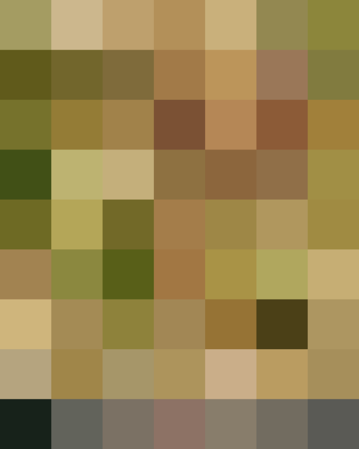 (placeholder)