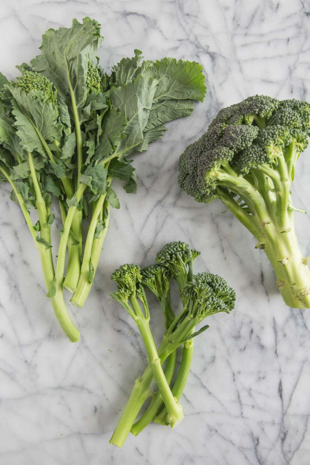 What's the Difference Between Broccoli, Broccolini, Broccoli Rabe, and ...