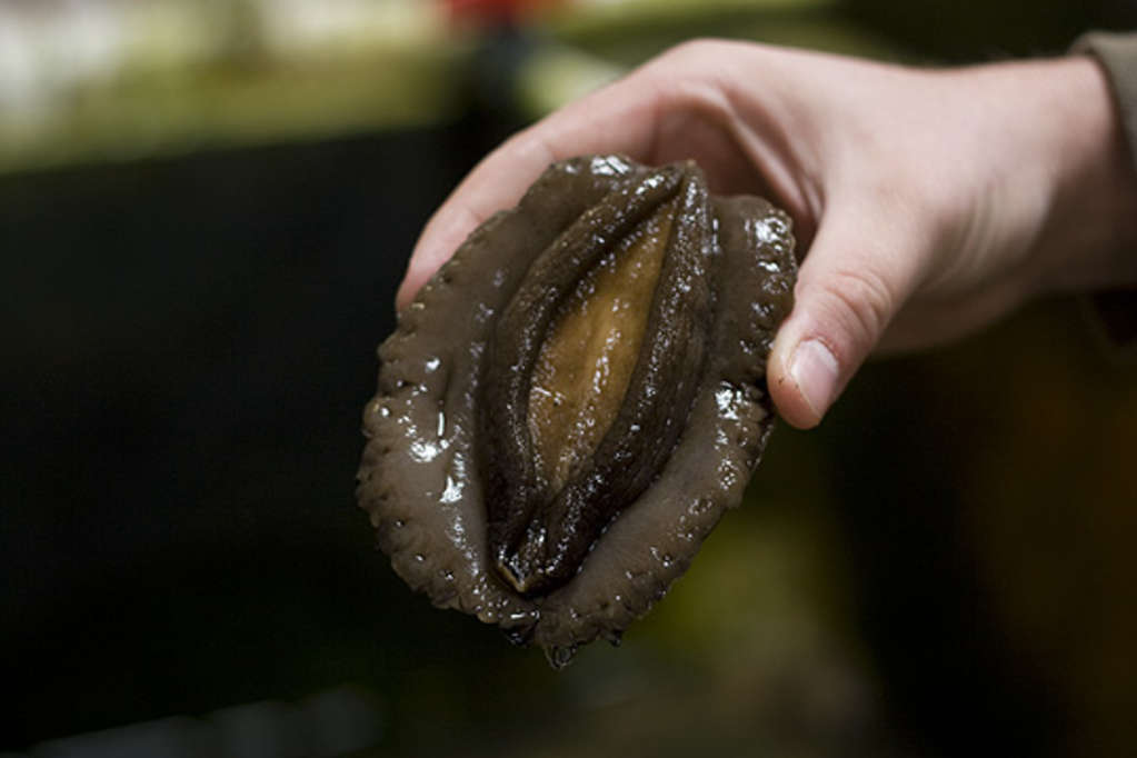 Fresh Abalone from American Abalone in Davenport, CA | Kitchn