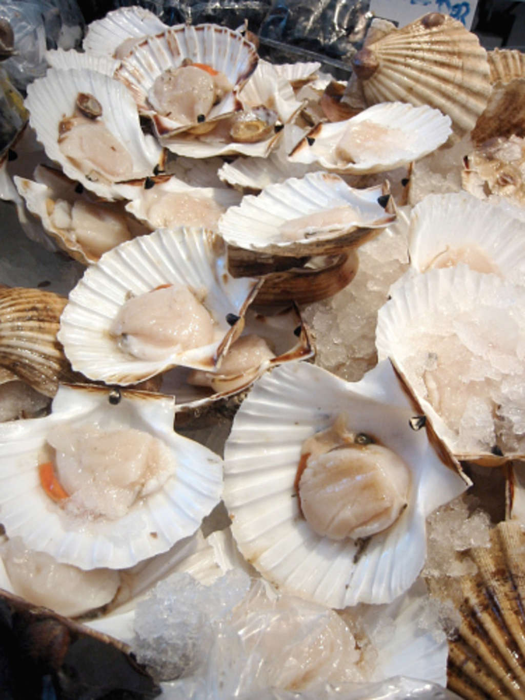 What's the Difference? Wet, Dry, and Diver Scallops Kitchn