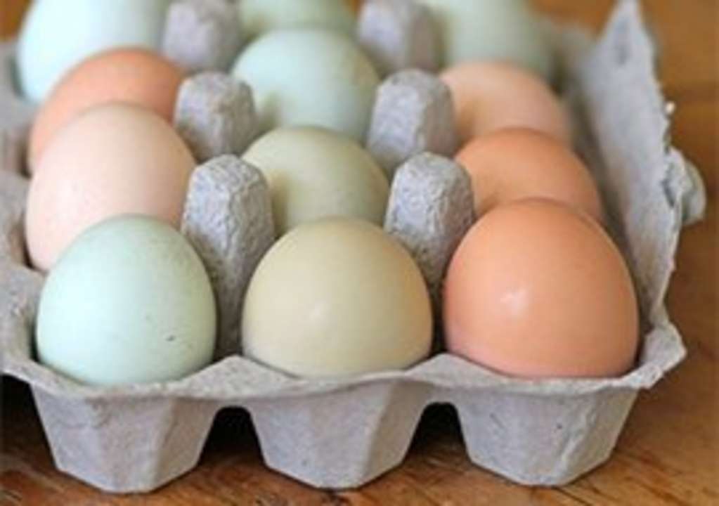 Why Won't My Egg Whites Whip? Kitchn