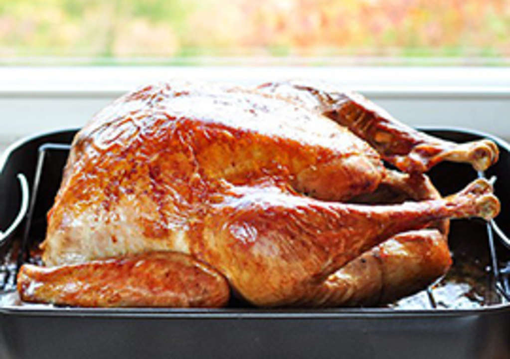 Help! How Do I Cook My Thanksgiving Turkey in a Convection ...