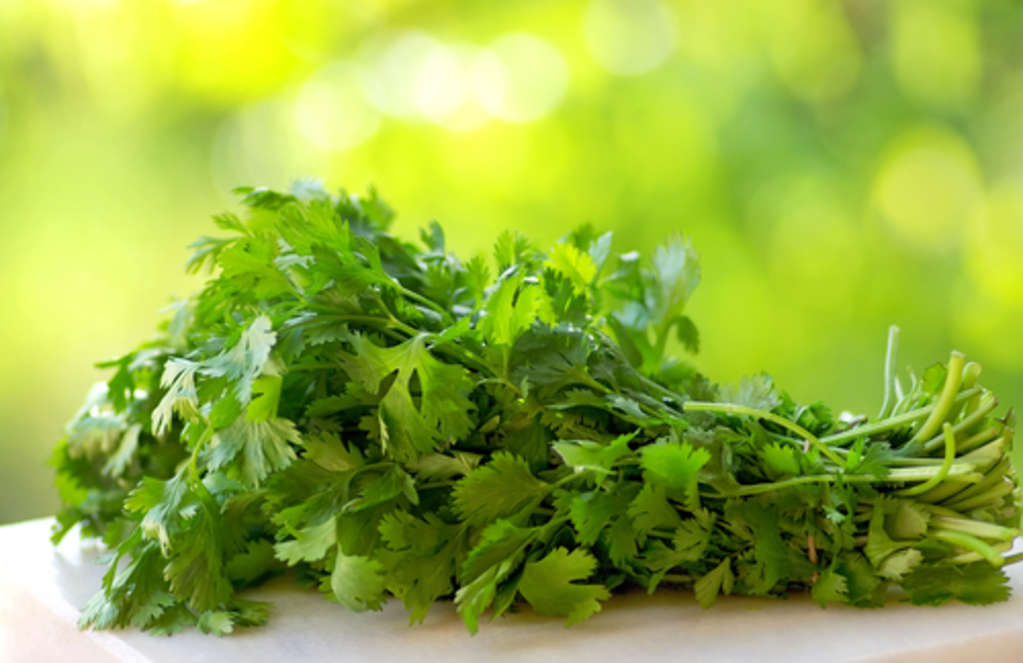 Hate Cilantro? Blame Your Genes Kitchn