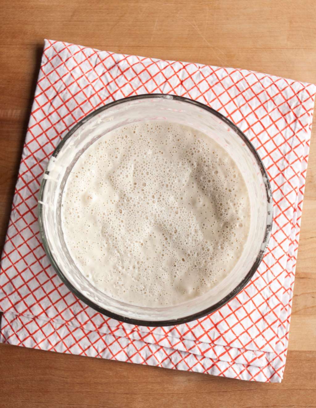 How To Make Sourdough Starter from Scratch Kitchn