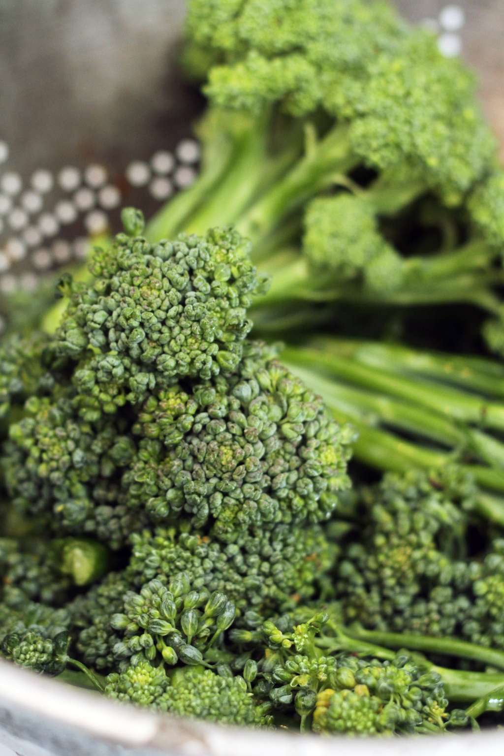 How To Grow Broccoli | Apartment Therapy