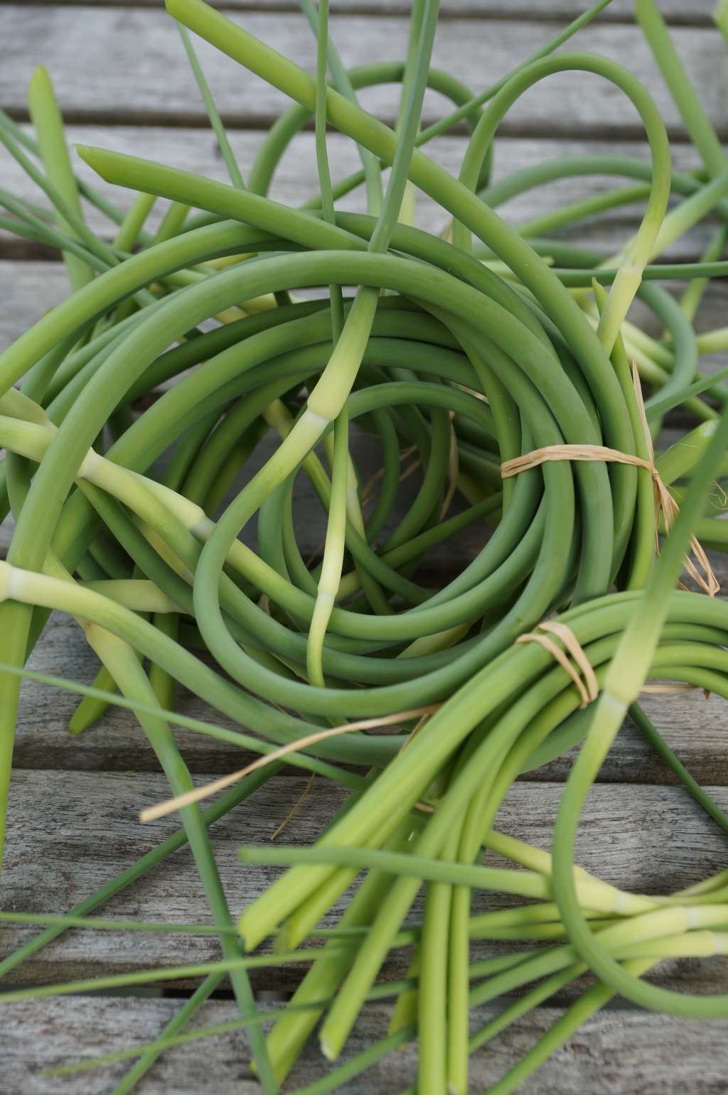 What's the Difference Green Garlic and Garlic Scapes? Kitchn
