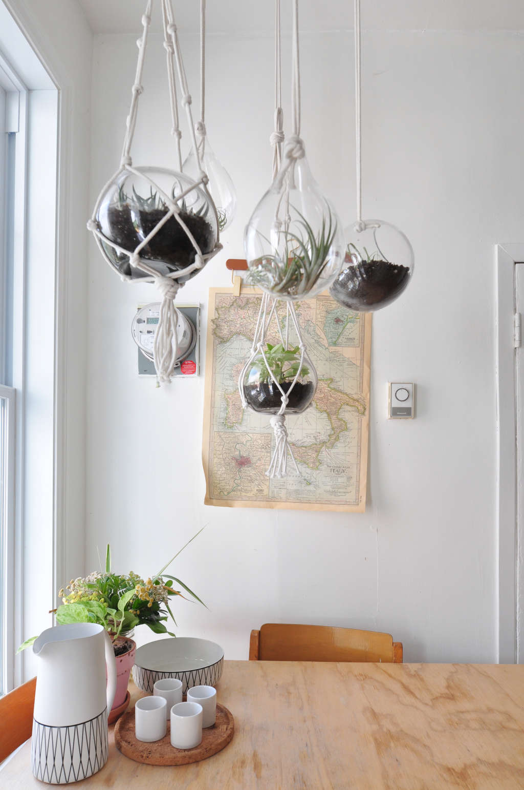 A Visual Case for Hanging Plants in the Kitchen Kitchn