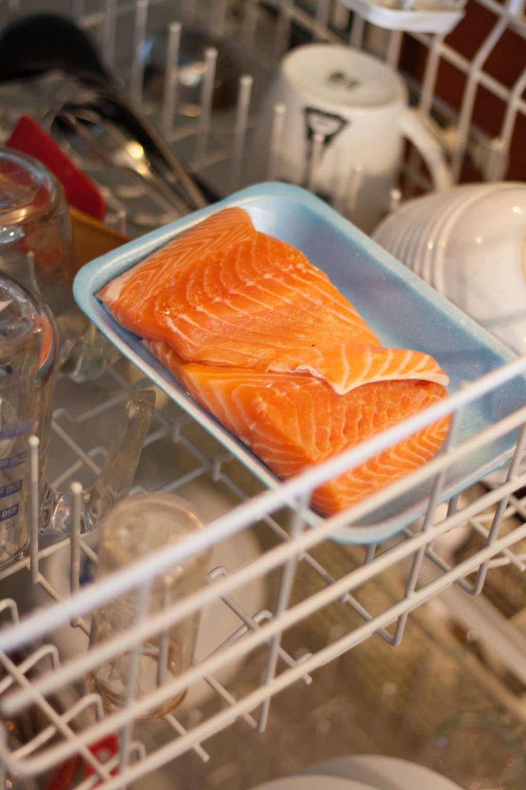 Can You Really Cook Salmon in a Dishwasher? Kitchn