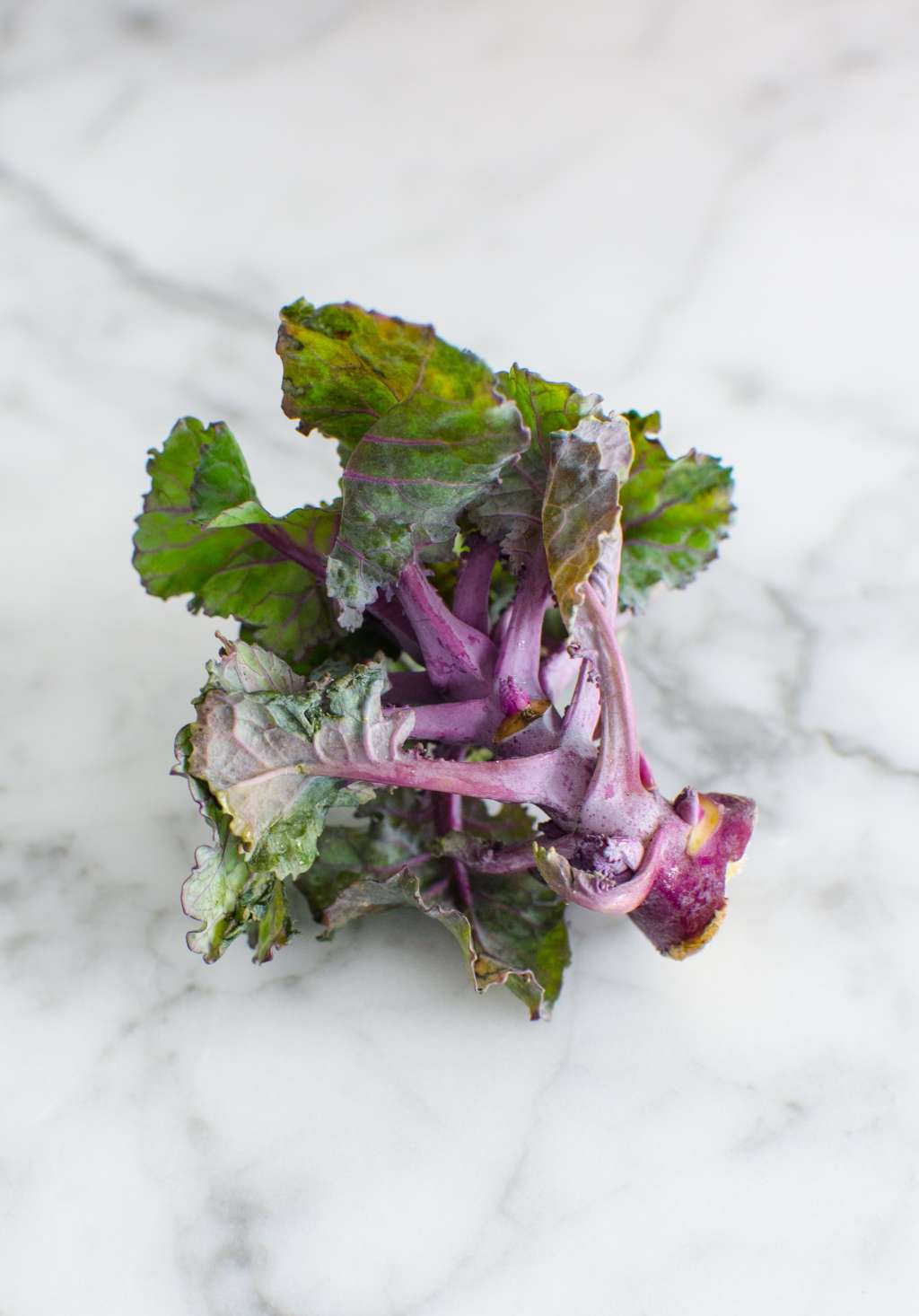 Kale Amp Brussels Sprouts Had A Love Child And Its Name Is