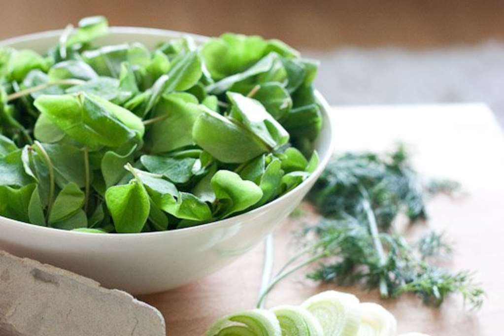 Got Sorrel 10 Colorful Spring Recipes Kitchn
