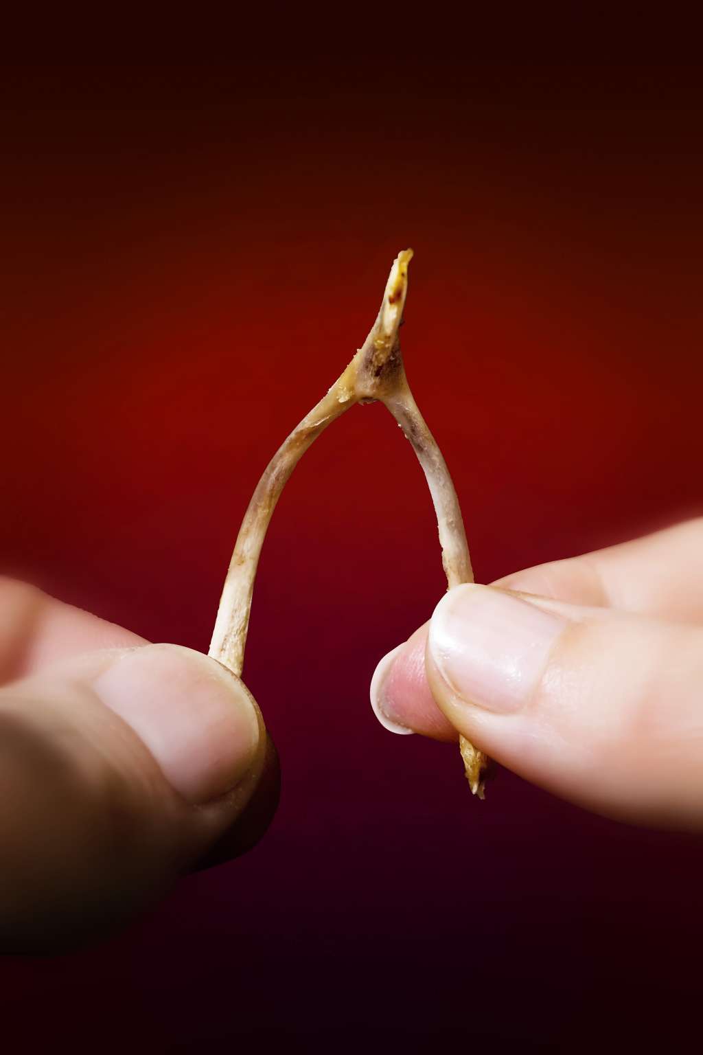 What's a Wishbone, and Why Do We Crack It? Kitchn