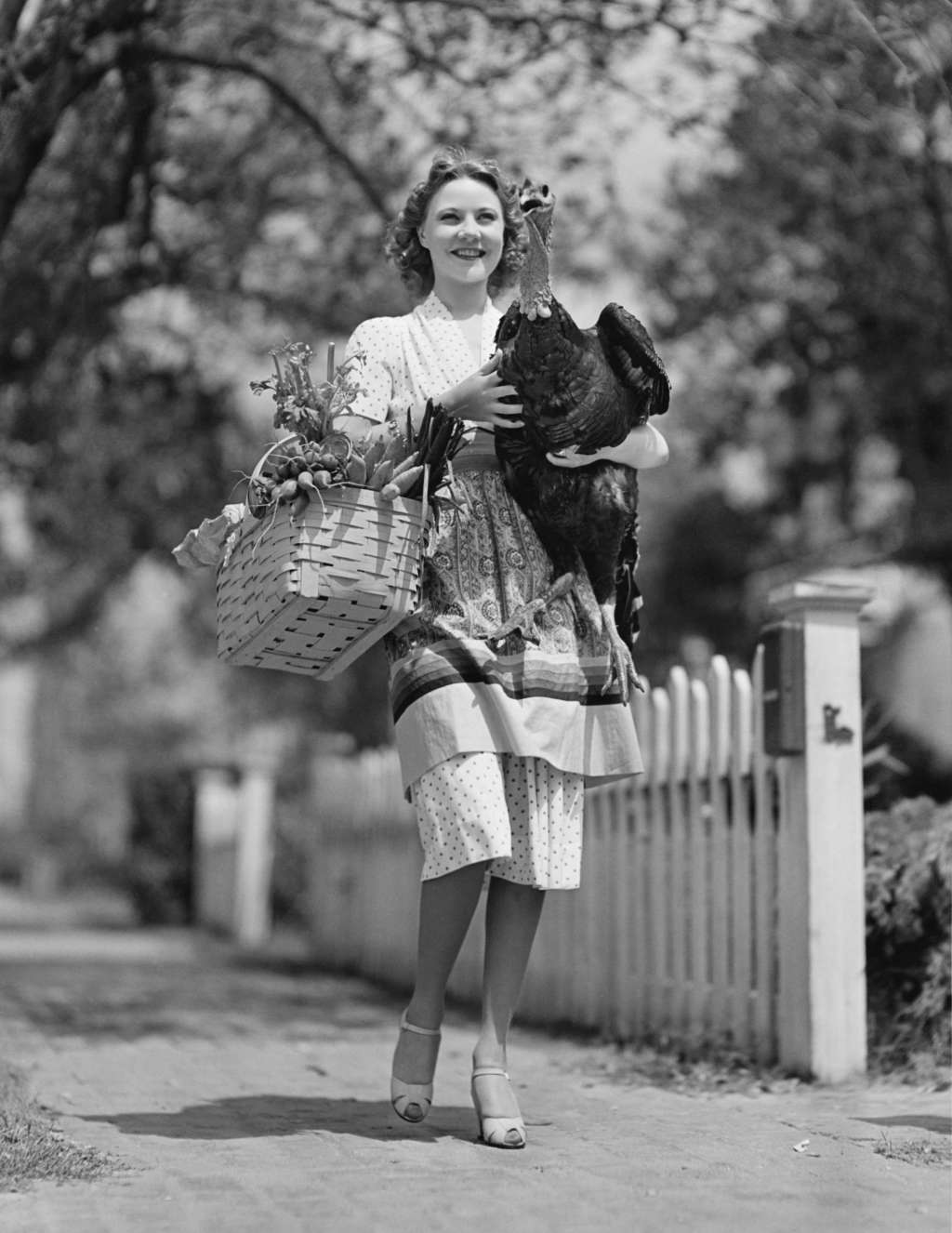6 Reasons You Should Be Grateful for Your Grocer on ...