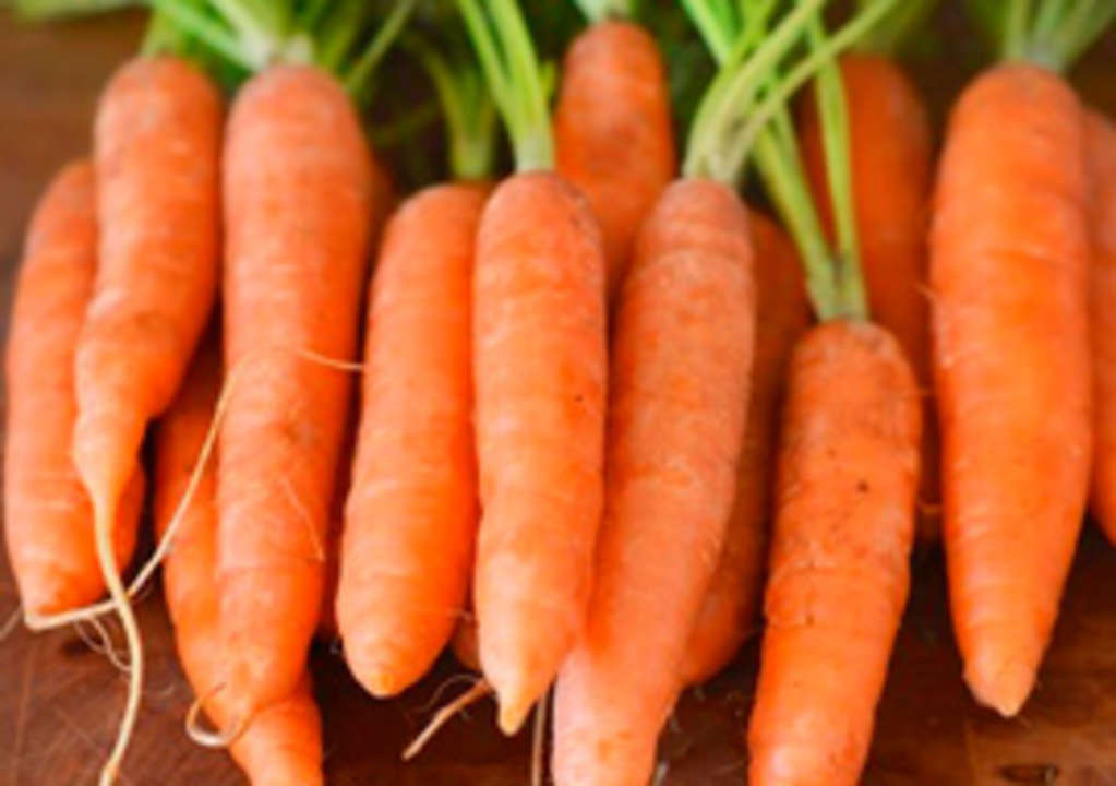 What is the Best Way to Cook Carrots on the Stovetop? Kitchn
