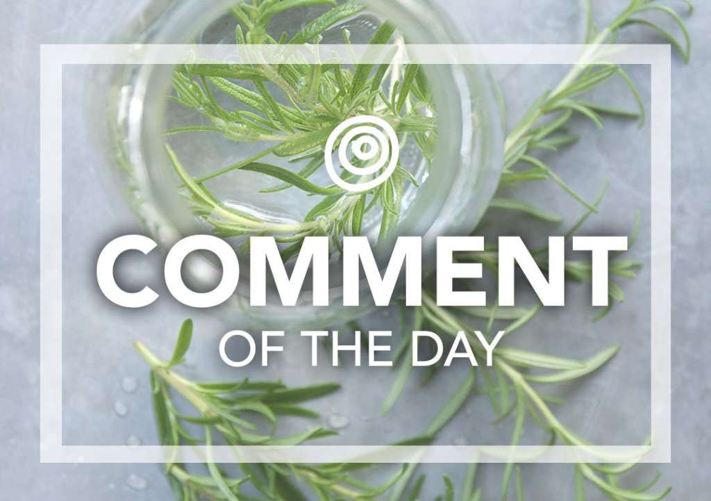 A Few More Ingenious Ways to Preserve Fresh Rosemary Kitchn