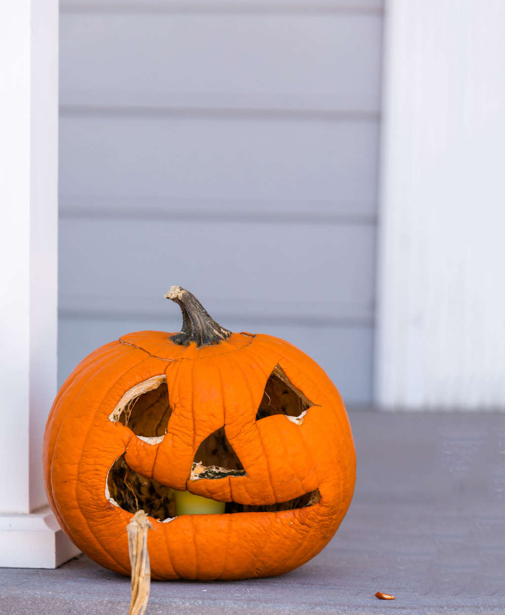 How to Prevent Pumpkins from Rotting Apartment Therapy