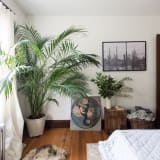 Fetch is not defined