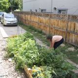 How Gardening at Home Changes the Way You Cook | Kitchn