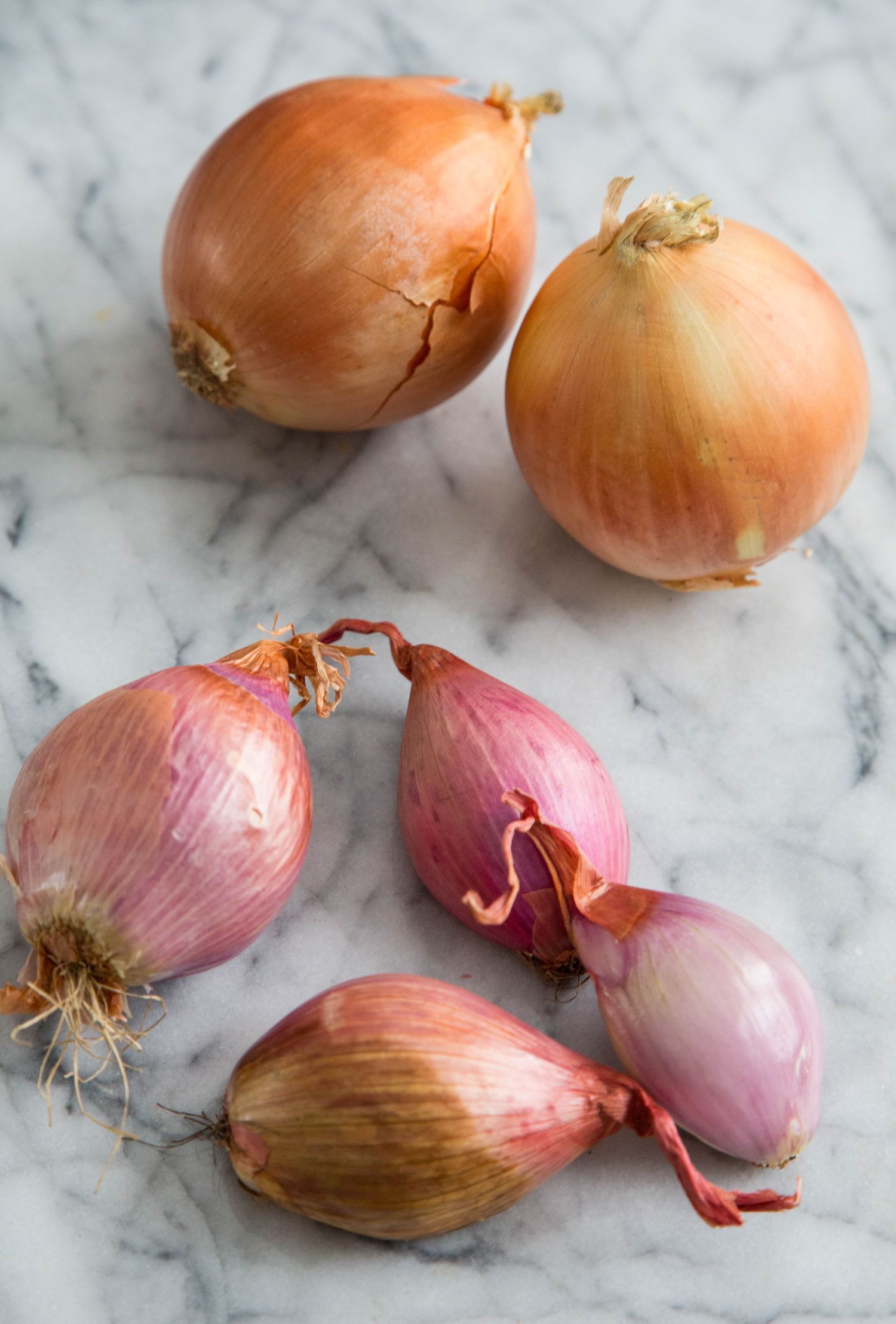 Can You Use Shallots Instead Of Spring Onions